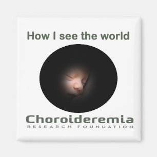 Choroideremia cómo veo el mundo - imán