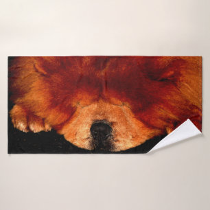 Chow Chow Btcn