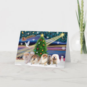 Chow Chows Magia de Navidad (cuatro)