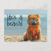ChowChow Puppy con gafas de sol postal