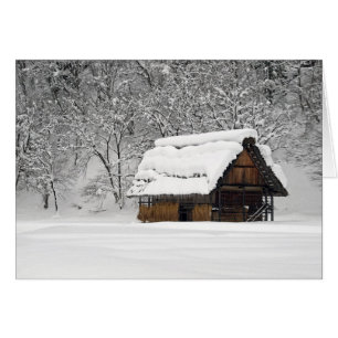 Choza de la nieve