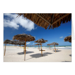 Chozas  Brazil de la playa