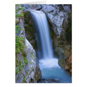 Christine Falls Escénico