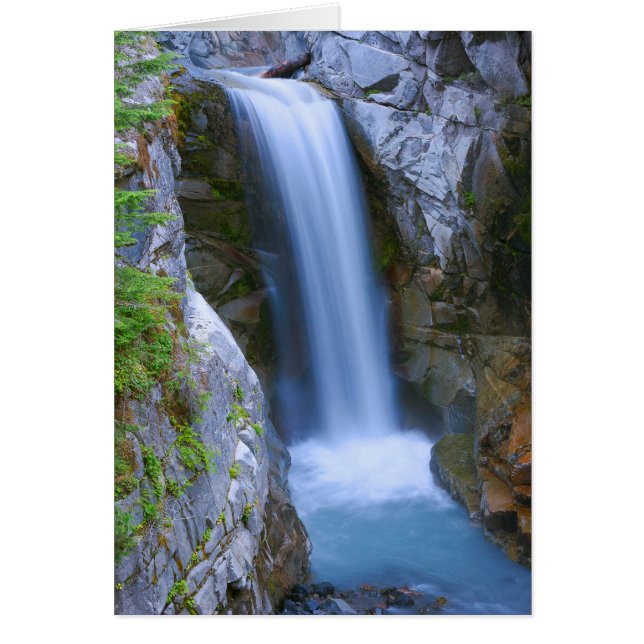 Christine Falls Escénico (Frente)