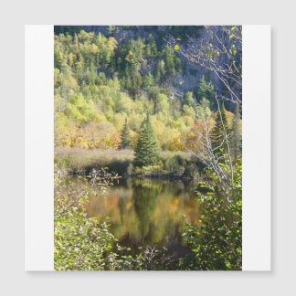 Christmas Tree holiday card, magnetic card