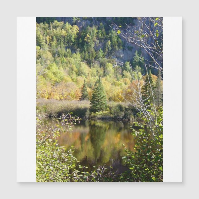 Christmas Tree holiday card, magnetic card (Anverso)