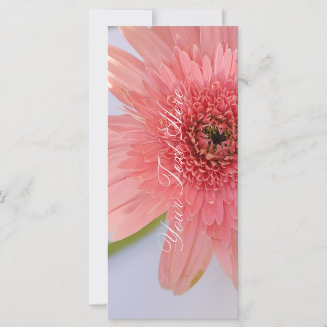 Chrysanthemum de coral rosa Su tarjeta plana de te (Anverso)