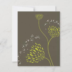 Chrysanthemum Flores Floral Elegante Boda RSVP