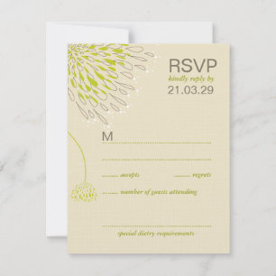 Chrysanthemum Flores Floral Elegante Boda RSVP