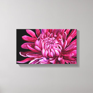 Chrysanthemum "the open" lienzo print black