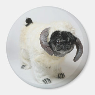 Chubbs el imán de Wampug