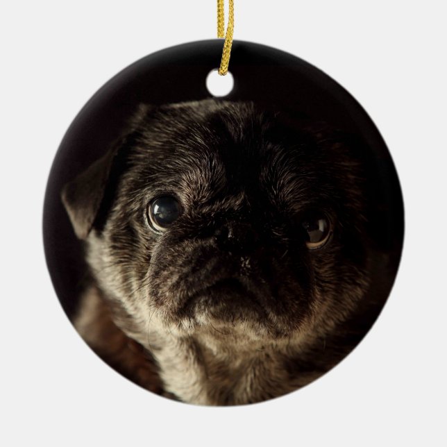 Chubbs el negro de Wampug en el ornamento negro (Frente)