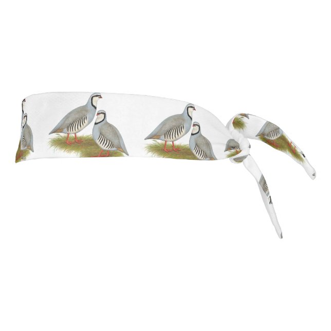 Chukar Partridge Pair (Girar 90)