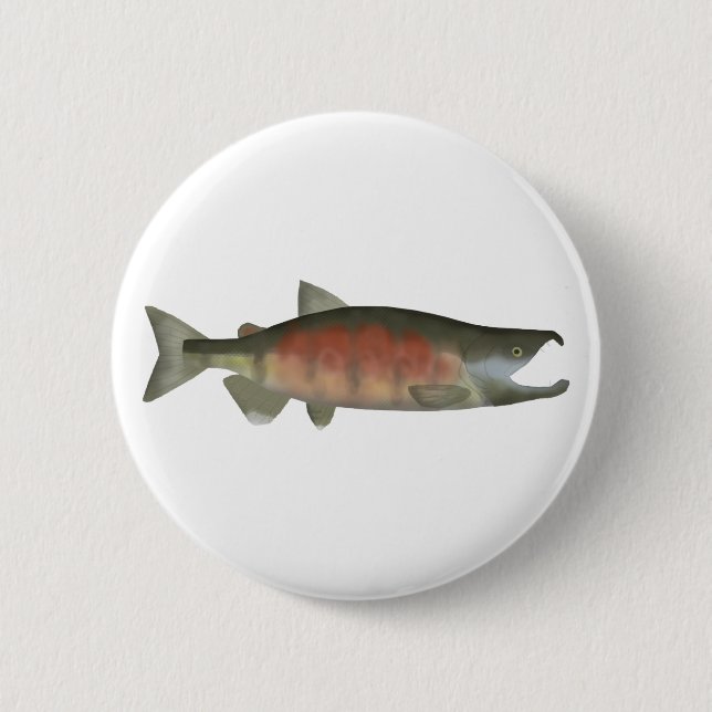 Chum Salmon - botón Fase de gestación (Anverso)