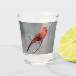 Chupito Vaso de medida cardinal septentrional