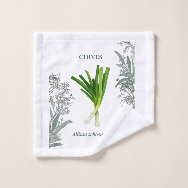 Ciboulette — Allium schoenoprasum (Toallita)