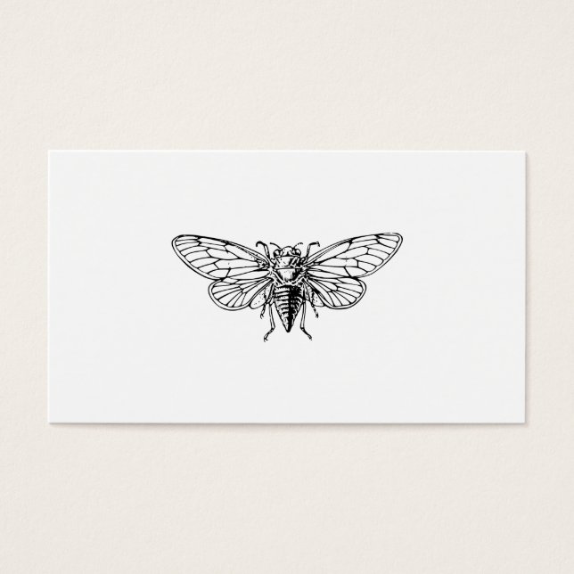Cicada (Frente)