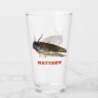 Cicada Bug, foto de insectos personalizada