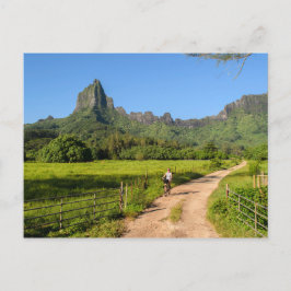 Ciclismo turístico en postal tropical Moorea