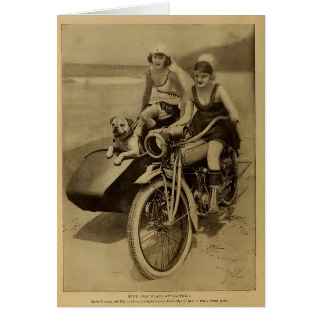 Ciclo 1918 del perro del retrato de Marie Prevost (Frente)