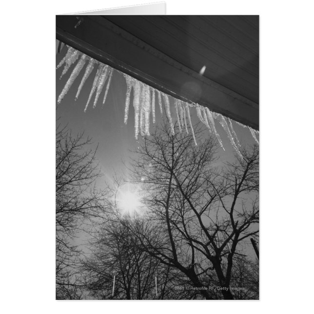 Ciclos en el techo y el sol (Frente)