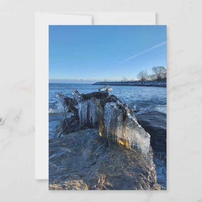 Ciclos paisajísticos congelados a orillas del lago (Anverso)