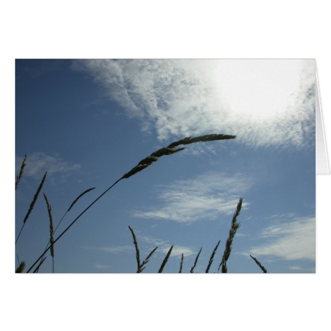 Cielo azul (Anverso (Horizontal))