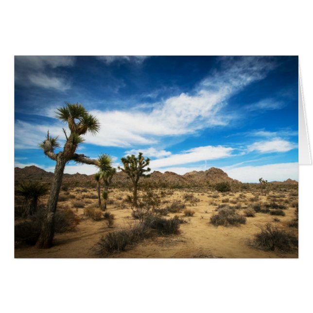 Cielo azul de la yuca (Anverso (Horizontal))