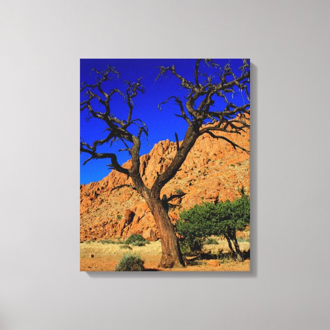 Cielo Azul Suelo Rojo Árbol Namibia Impresión en L (Anverso)