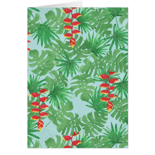 Cielo de la jungla (Frente)