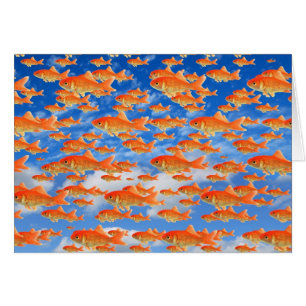 Cielo del Goldfish