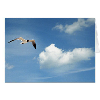 Cielo del verano