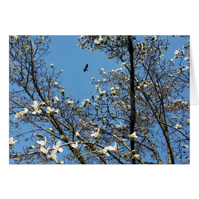 cielo en primavera (Anverso (Horizontal))