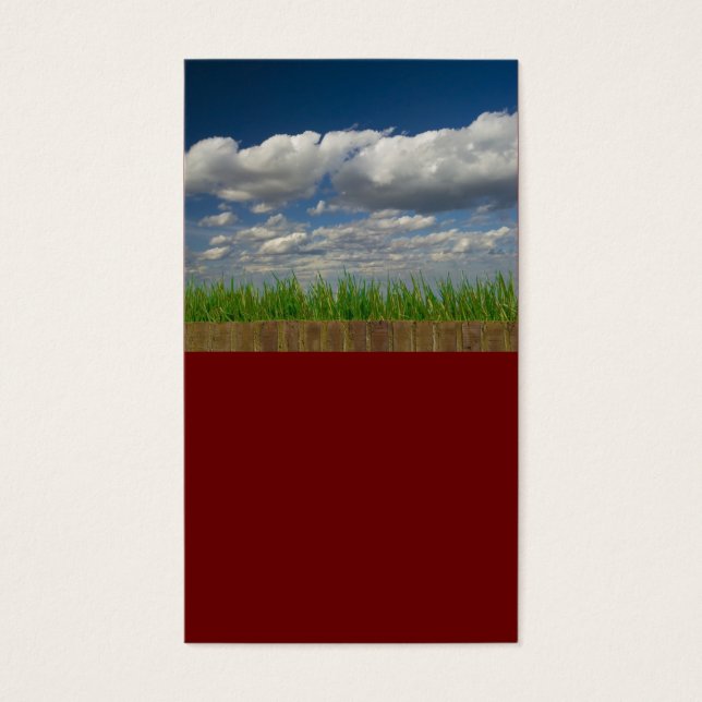 cielo, hierba, ladrillos (Frente)