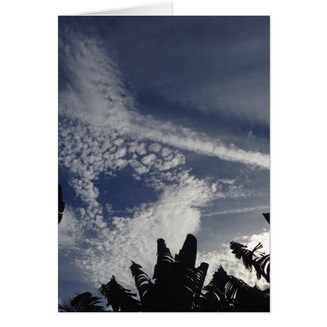 Cielo Interesante (Frente)
