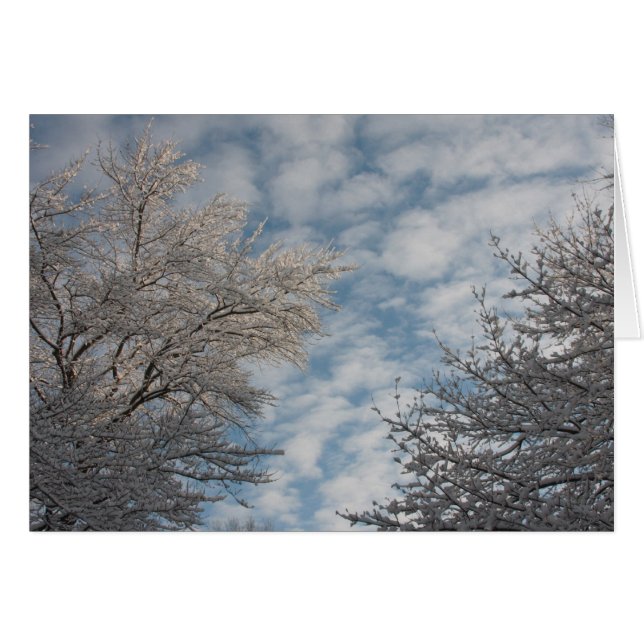 Cielo invernal (Anverso (Horizontal))
