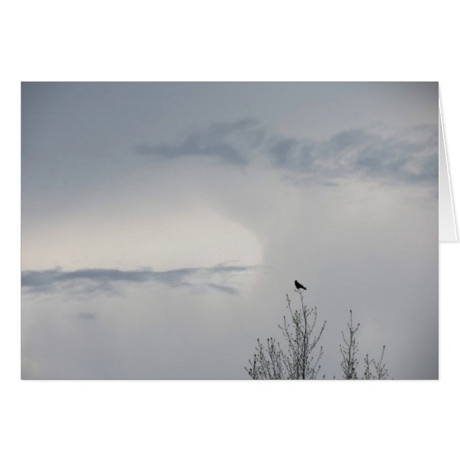 Cielo otoño 2014 (Anverso (Horizontal))