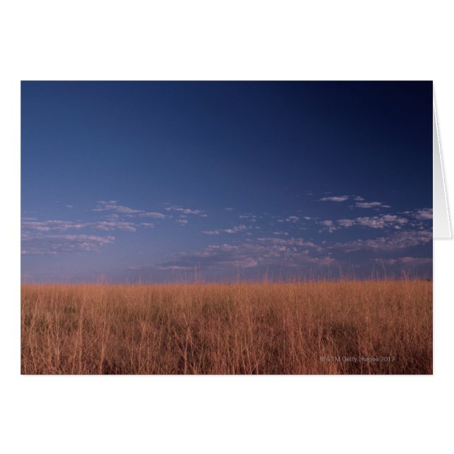 Cielo sobre las llanuras amarillas (Anverso (Horizontal))