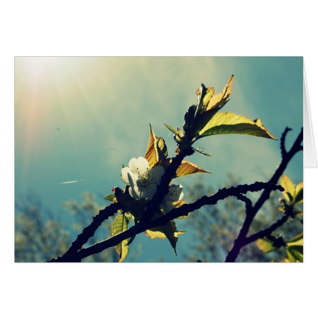 Cielo vintage (Anverso (Horizontal))