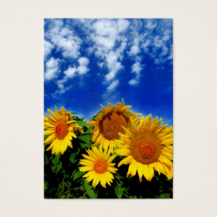 Cielo y floración, tarjetas del perfil