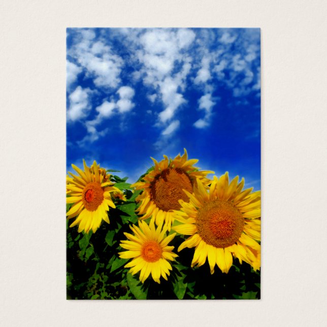 Cielo y florecimiento, tarjetas de perfil (Frente)