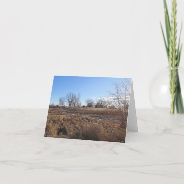 Cielos azules pacíficos - Tarjeta de saludo en bla (Anverso)