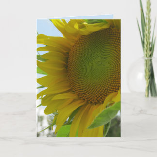 Cielos azules y tarjeta amistosa del girasol de la