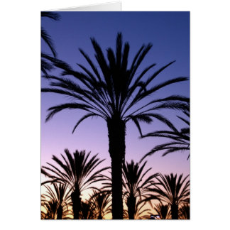 Cielos de la palma
