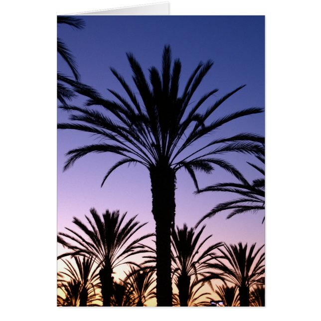 Cielos de la palma (Frente)