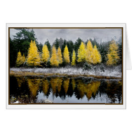 Cielos grises por el blog Tamarack