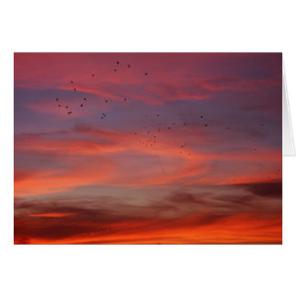 Cielos químicos 6