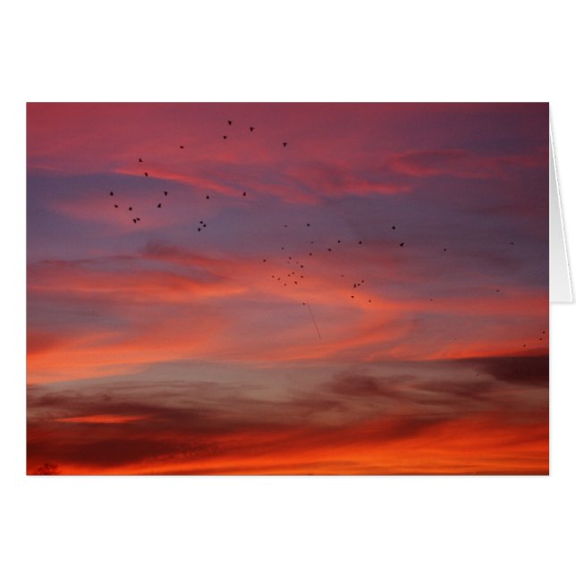 Cielos químicos 6 (Anverso (Horizontal))