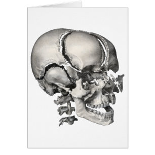 Ciencia antigua anatomía humana, cráneo antiguo