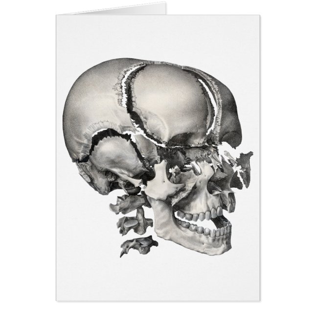 Ciencia antigua anatomía humana, cráneo antiguo (Frente)
